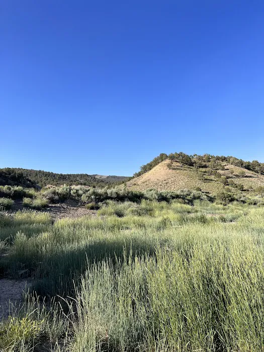 Cottonwood Campground Picture 8
