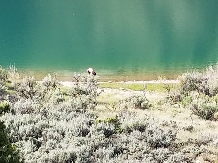 Pinyon Campground Picture 10