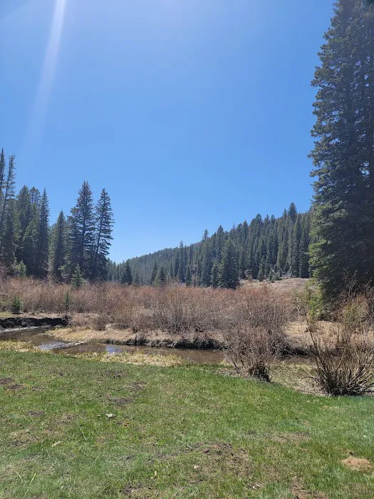 Blue Spruce Campground Picture 4