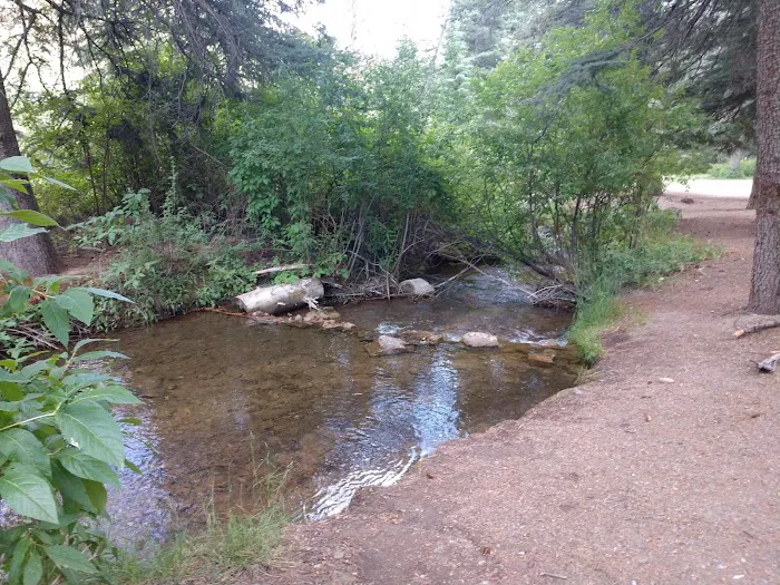 Blue Spruce Campground Picture 1