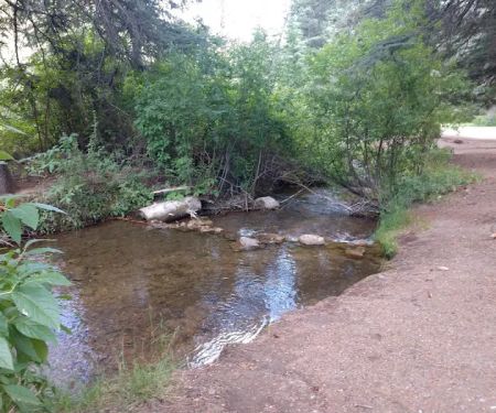 Blue Spruce Campground