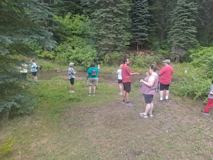 Spruce Group Picnic Site (recgovnpsdata) Picture 6
