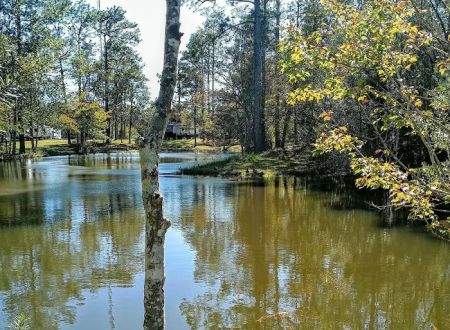Wilderness RV Park