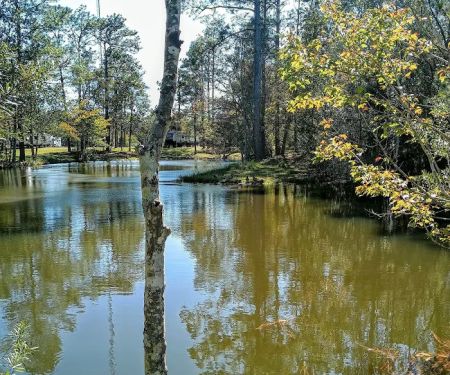 Wilderness RV Park