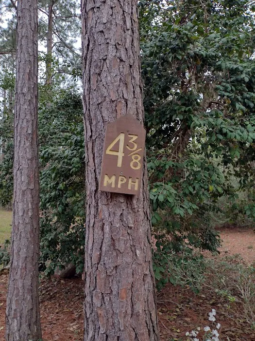 Wilderness RV Park Picture 9