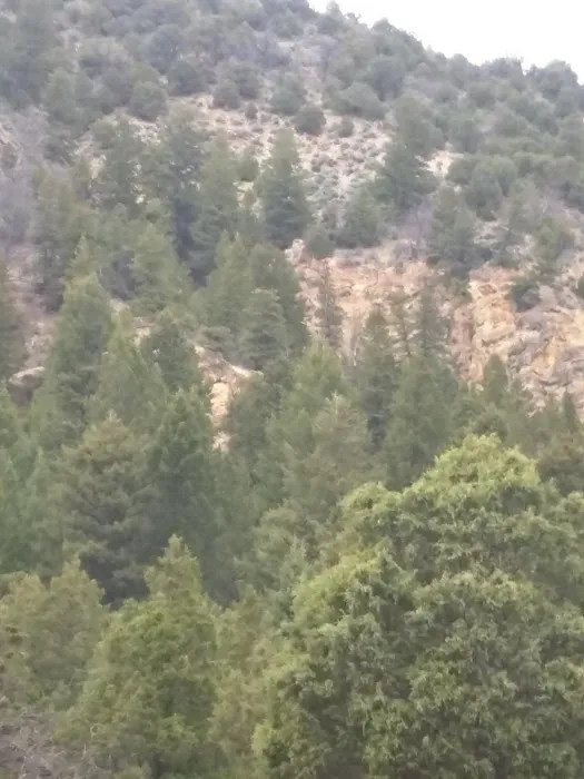 Middle Miller Creek Campground Picture 4