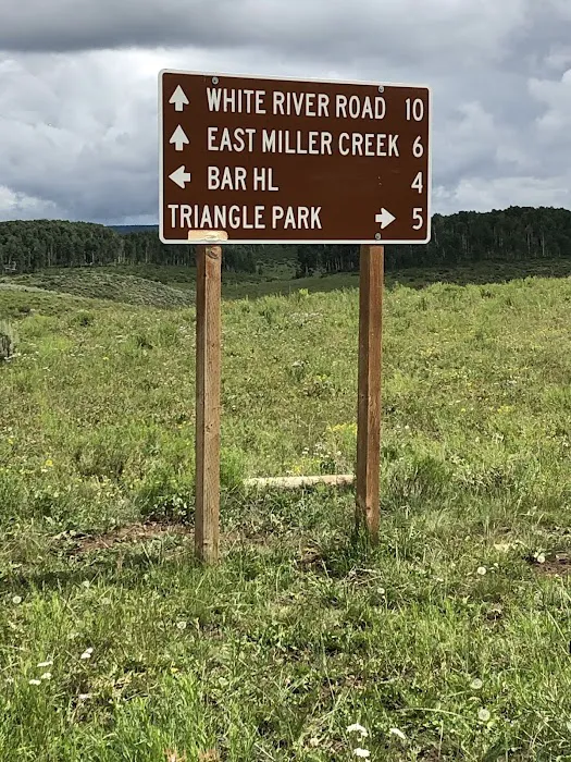 Middle Miller Creek Campground Picture 2