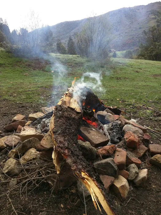 Middle Miller Creek Campground Picture 7