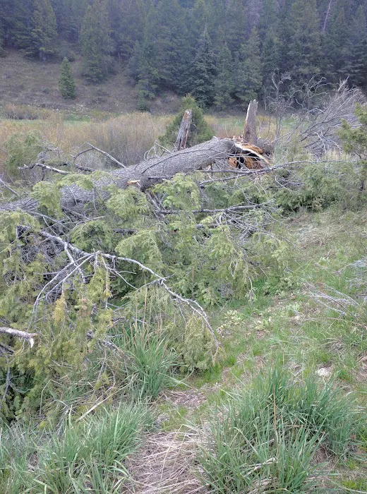Middle Miller Creek Campground Picture 9