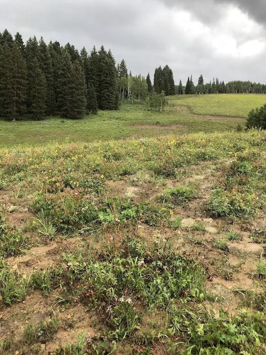 Middle Miller Creek Campground Picture 1