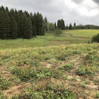 Middle Miller Creek Campground ico