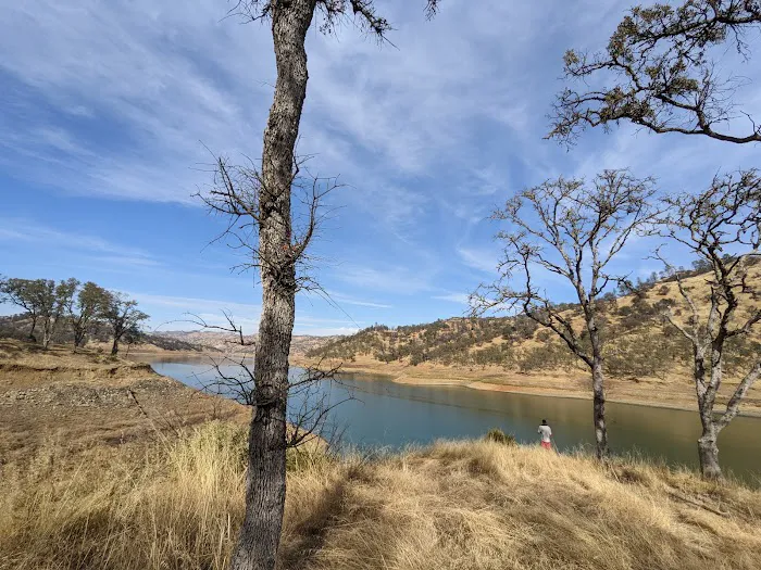Pleasure Cove campground Picture 6
