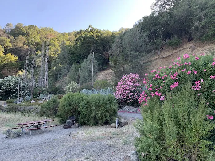 Pleasure Cove campground Picture 3
