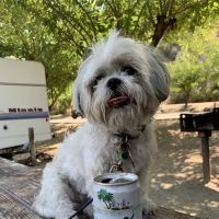 Pleasure Cove campground ico