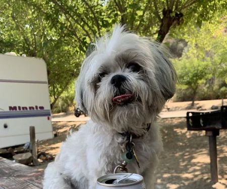 Pleasure Cove campground