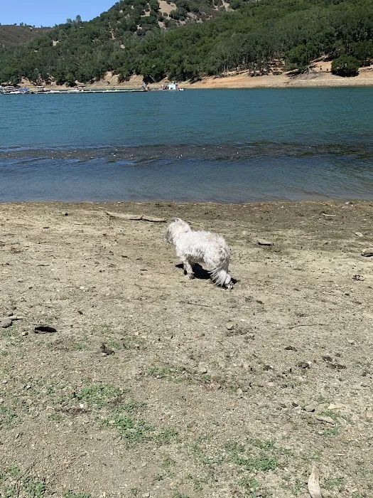 Pleasure Cove campground Picture 5