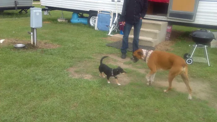 CountrySide RV Park Picture 6