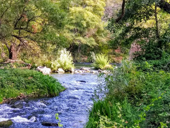 Canyon Creek Resort Picture 9