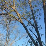 Graystone RV Park
