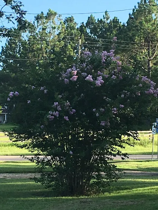 Graystone RV Park Picture 7
