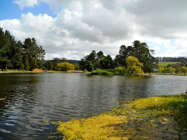 USCG TRACEN Petaluma Campground & RV Area Picture 5