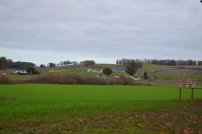 USCG TRACEN Petaluma Campground & RV Area Picture 2