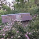 The Grove at Hands Full Farm