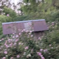 The Grove at Hands Full Farm ico