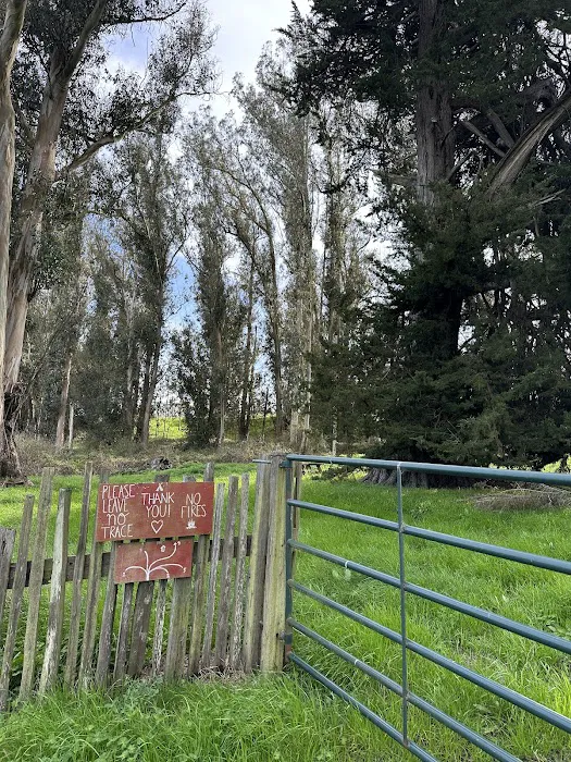 The Grove at Hands Full Farm Picture 3