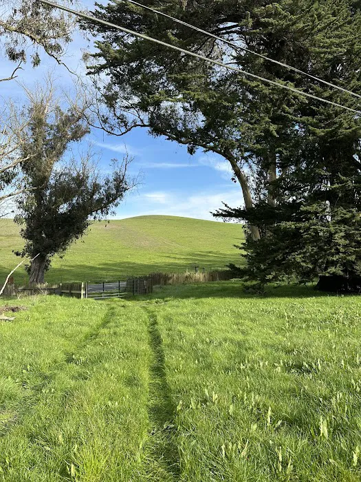 The Grove at Hands Full Farm Picture 4