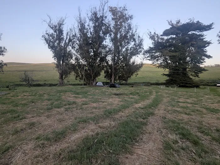 The Grove at Hands Full Farm Picture 8
