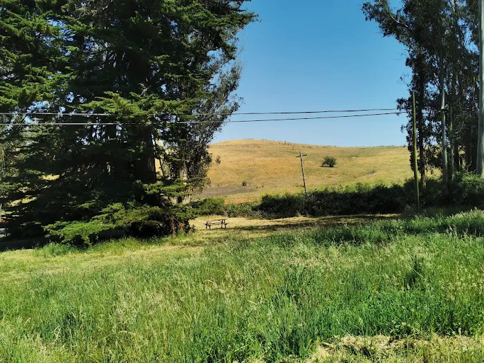 The Grove at Hands Full Farm Picture 10