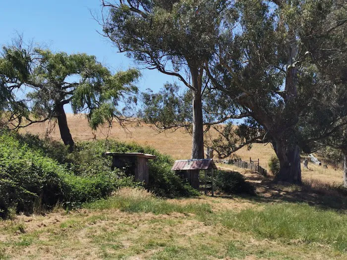 The Grove at Hands Full Farm Picture 9