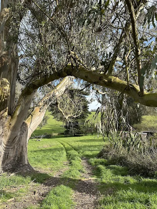 The Grove at Hands Full Farm Picture 6