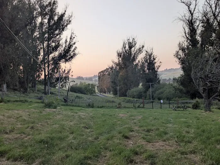 The Grove at Hands Full Farm Picture 2