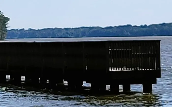 Tensaw River Park Picture 5