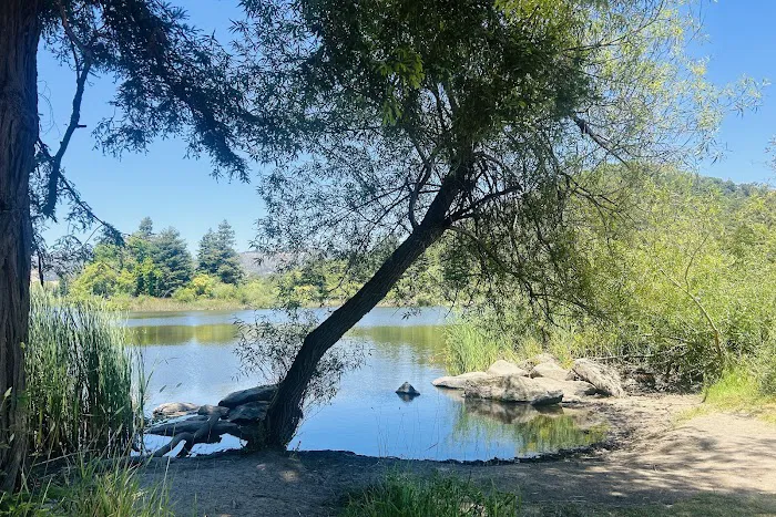 Spring Lake Regional Park Campground Picture 7