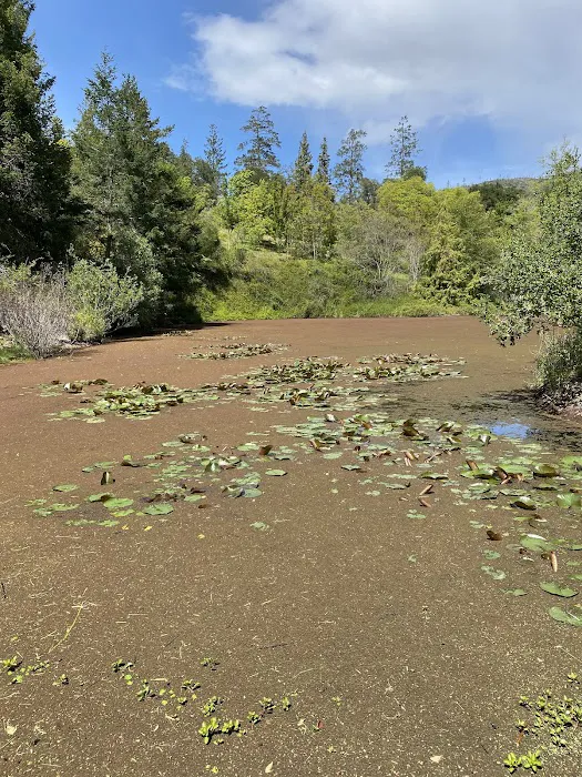 Spring Lake Regional Park Campground Picture 4