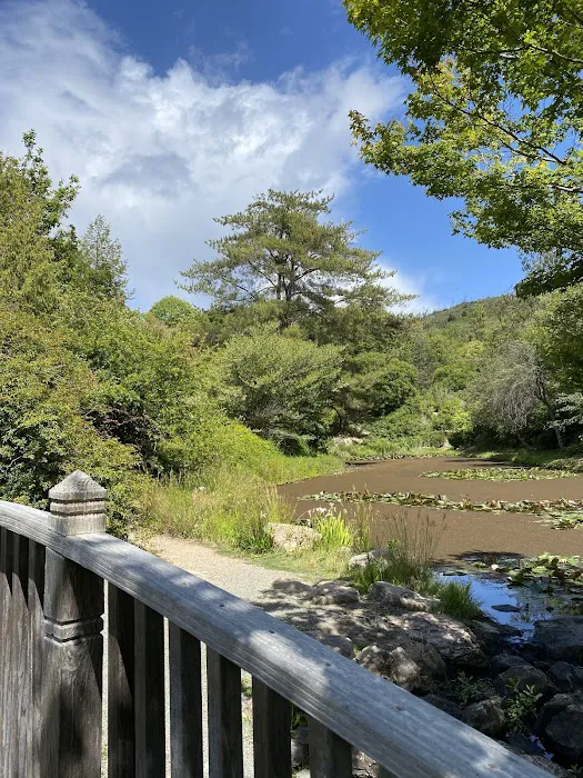 Spring Lake Regional Park Campground Picture 1