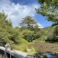 Spring Lake Regional Park Campground ico