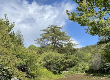 Spring Lake Regional Park Campground