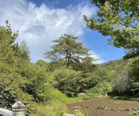 Spring Lake Regional Park Campground
