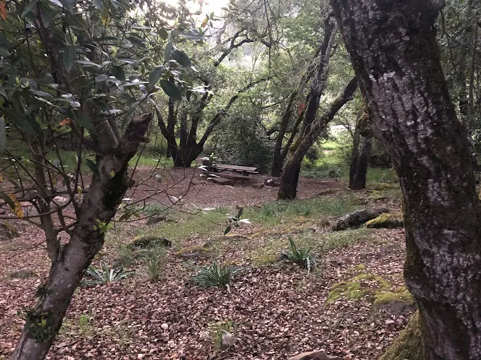 Spring Lake Park Group Campground Picture 1