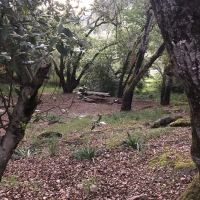 Spring Lake Park Group Campground ico