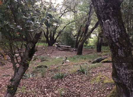 Spring Lake Park Group Campground