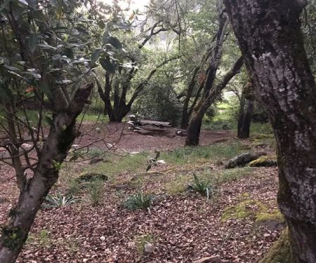Spring Lake Park Group Campground