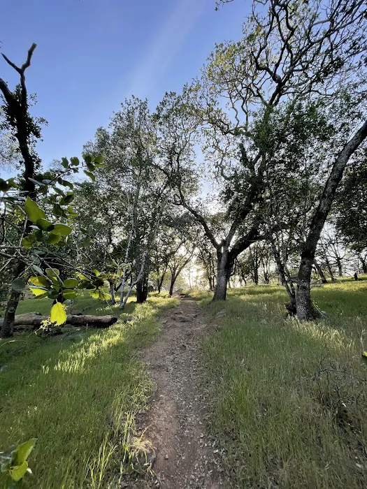 Spring Lake Park Group Campground Picture 4