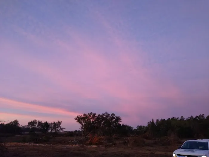 Lecanto Hills Mobile Home & RV Park Picture 5