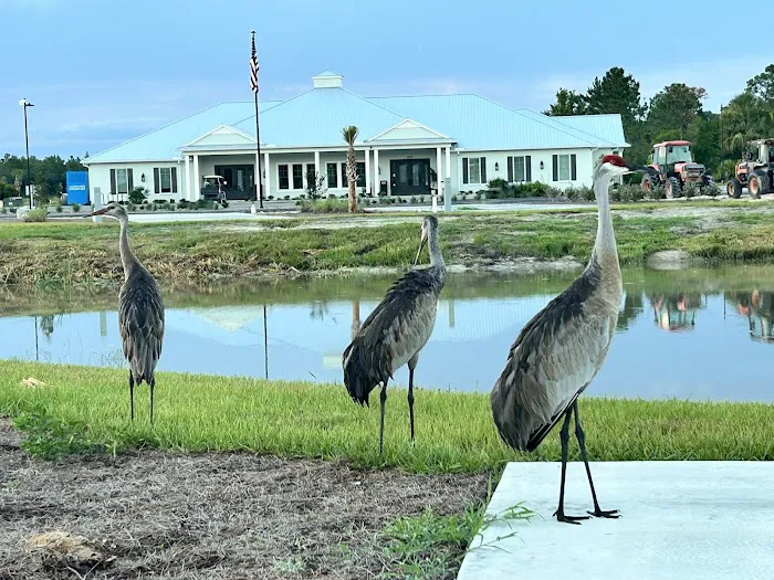 Stillwater Preserve RV Resort Picture 9