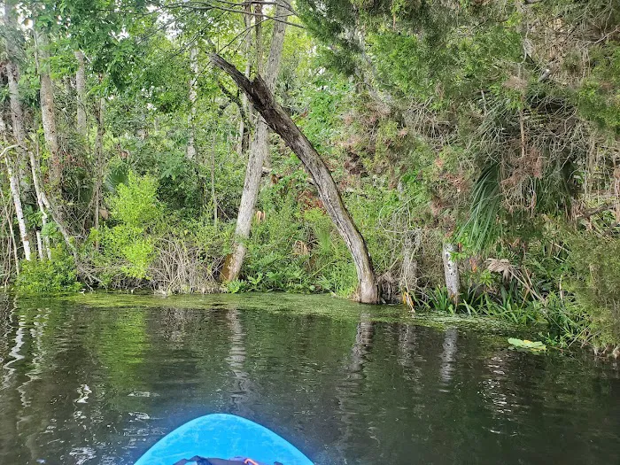 Nature's Resort Campground Picture 10